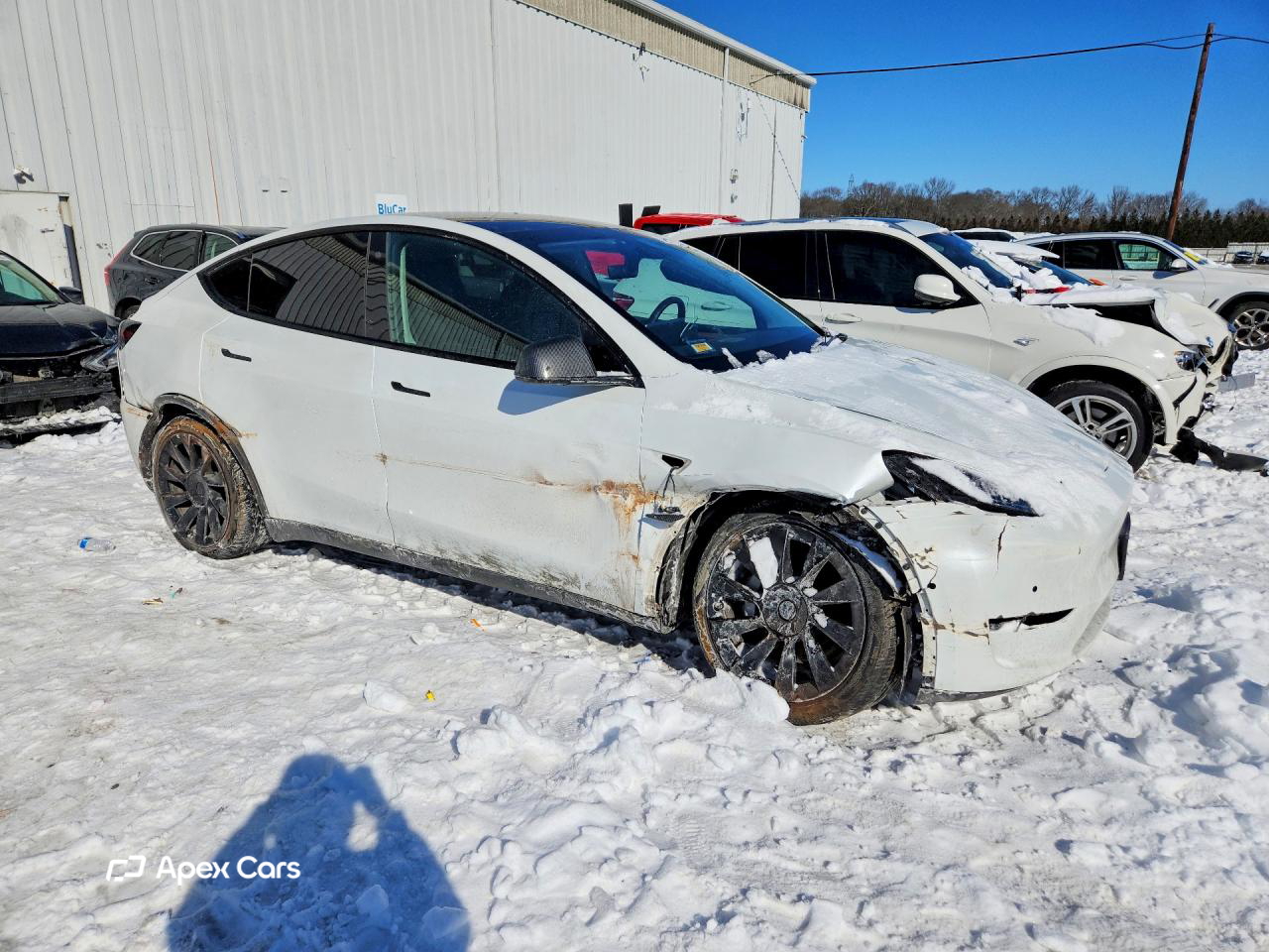 Tesla Model Y 2022
