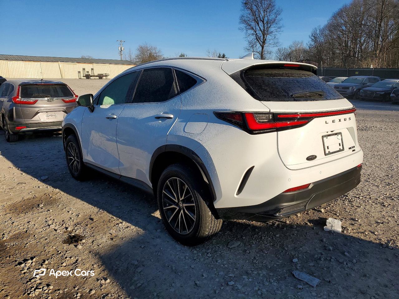 Lexus NX 2026