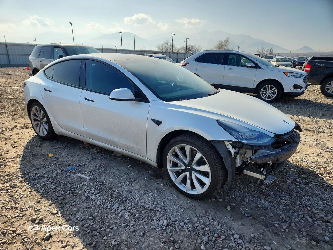 Tesla Model 3 2019