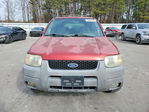 Ford Escape 2001