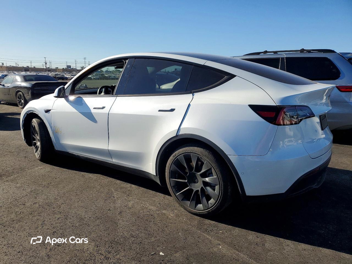 Tesla Model Y 2020