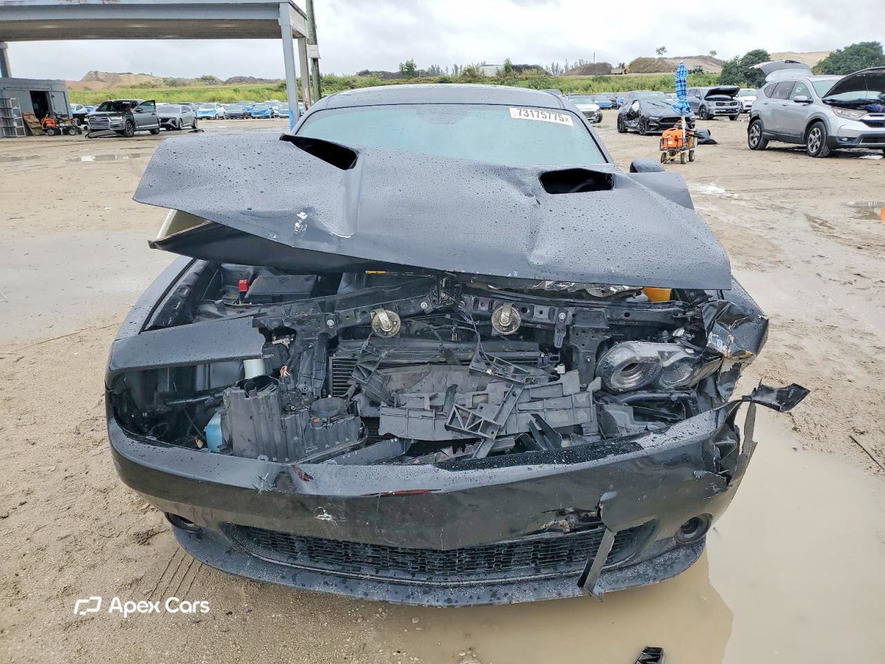 Dodge Challenger 2019