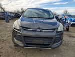 Ford Escape 2015