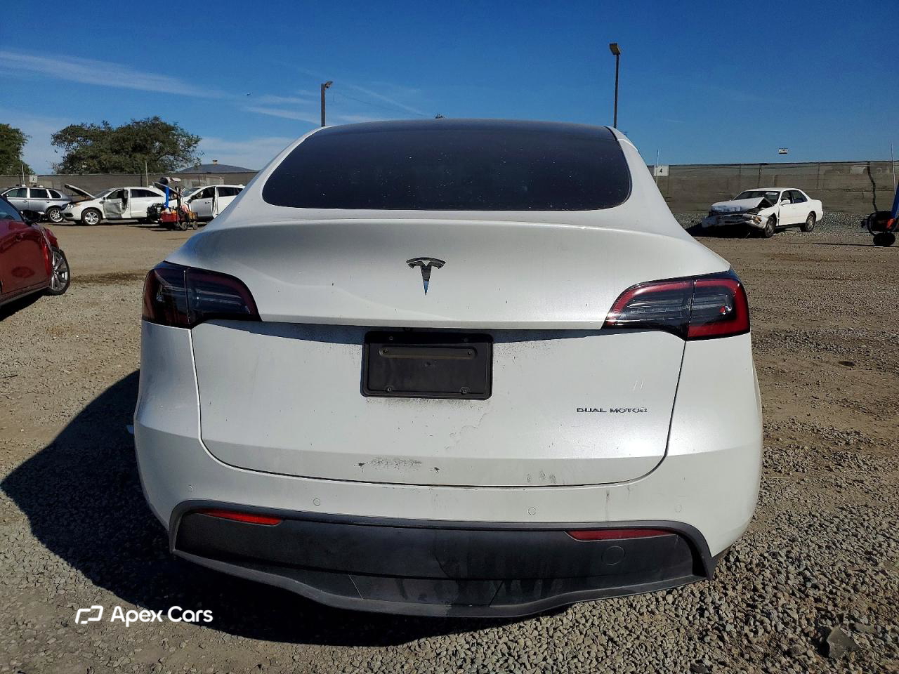Tesla Model Y 2021
