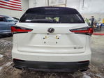 Lexus NX 2020