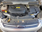 Ford Escape 2013