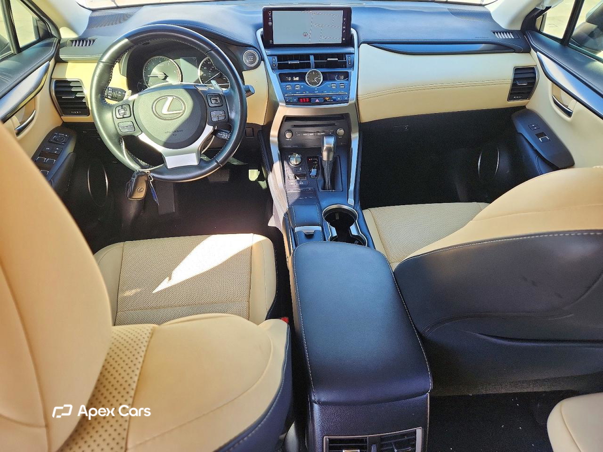 Lexus NX 2019