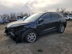 Ford Escape 2024