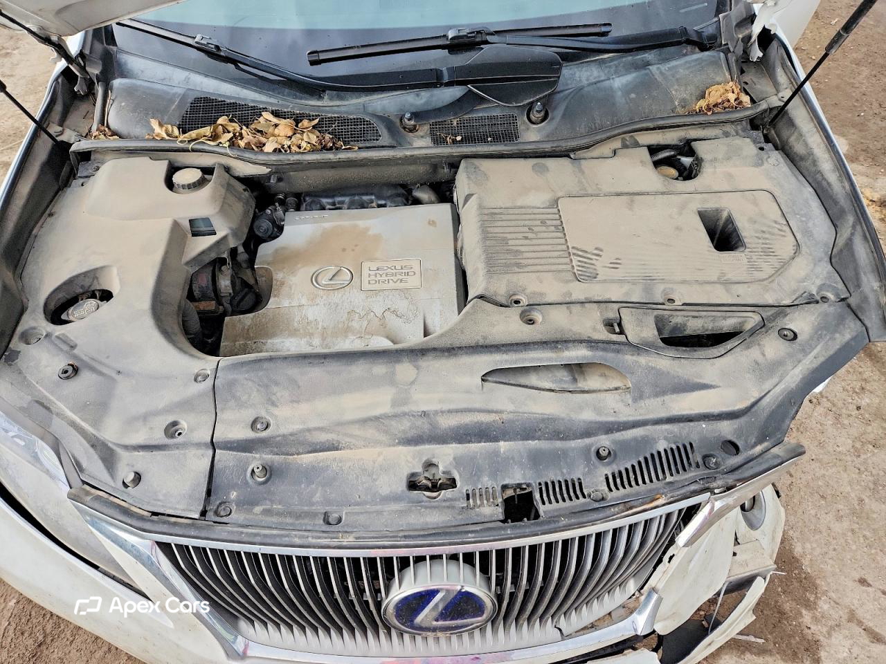 Lexus RX 2010