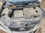 Lexus RX 2010