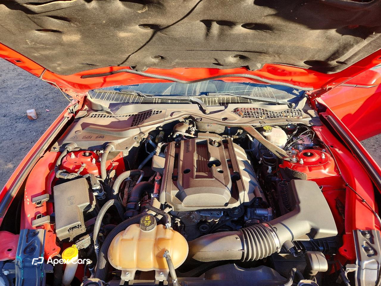 Ford Mustang 2019