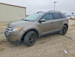 Ford Edge 2013