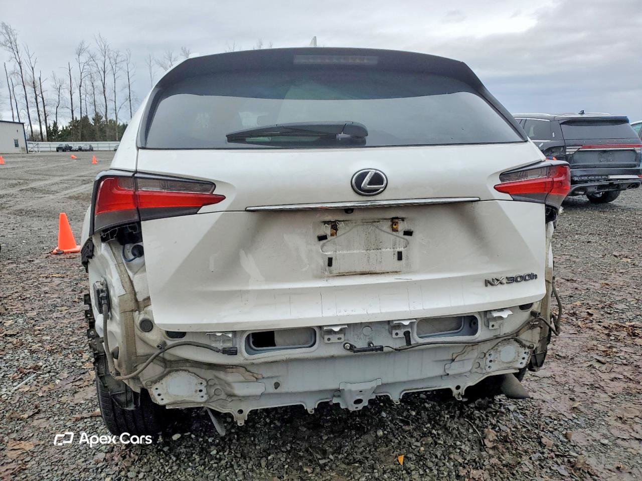 Lexus NX 2017