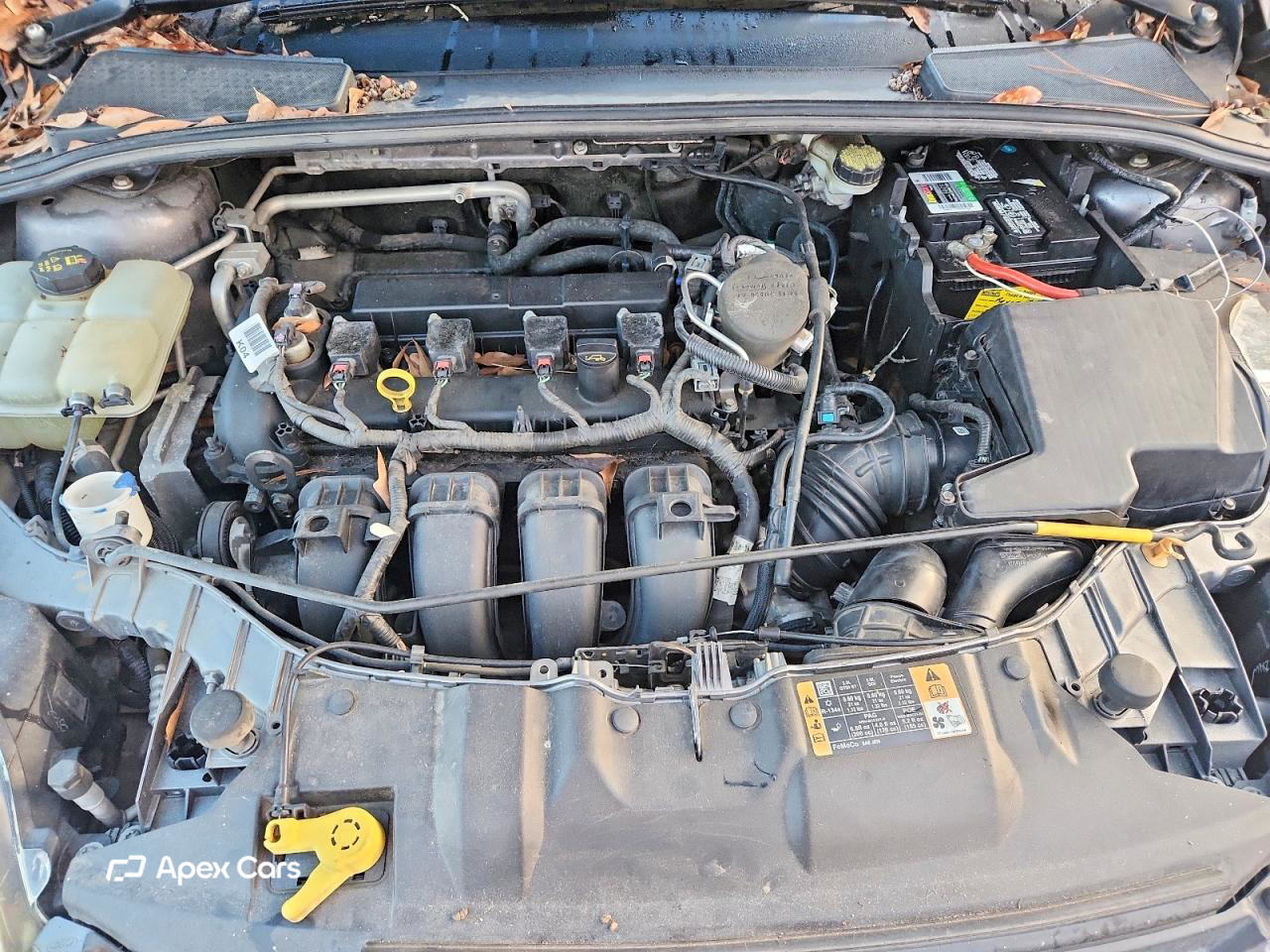 Ford Focus 2014