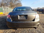 Honda Accord 2010