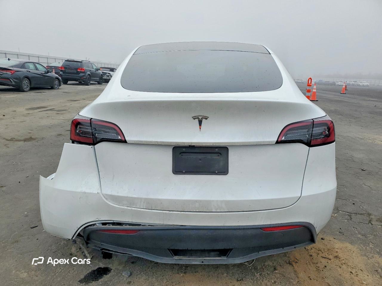 Tesla Model Y 2025