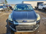 Ford Escape 2015