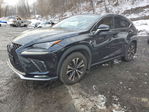 Lexus NX 2020