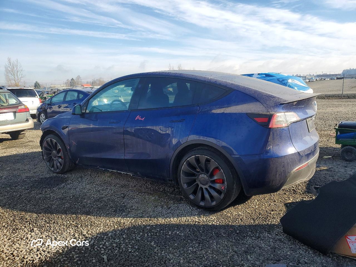 Tesla Model Y 2025