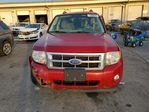 Ford Escape 2011
