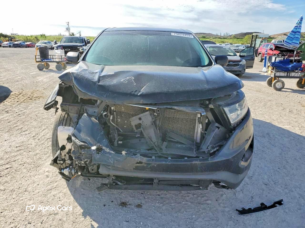 Ford Edge 2015