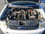 Ford Flex 2010