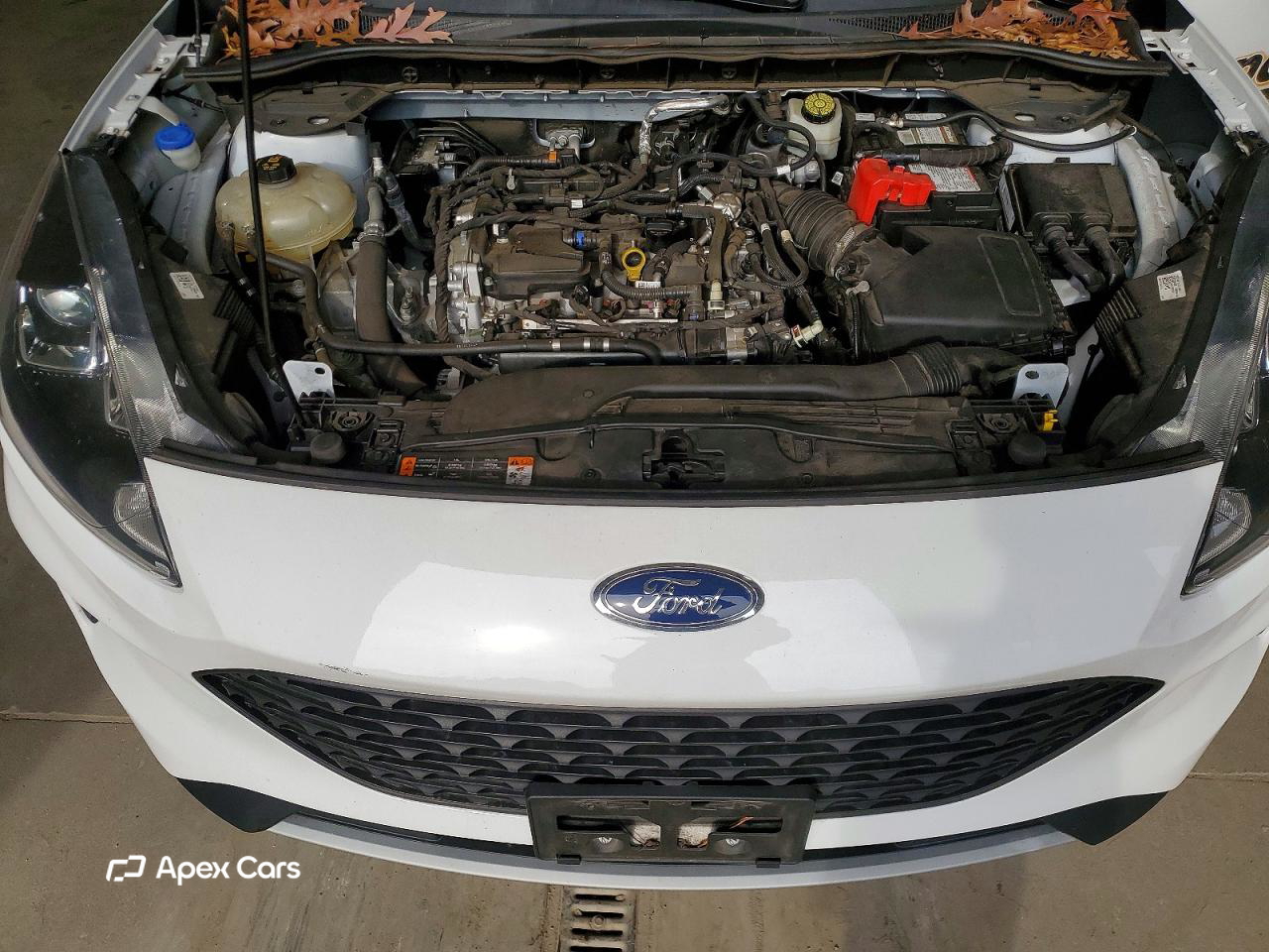Ford Escape 2021