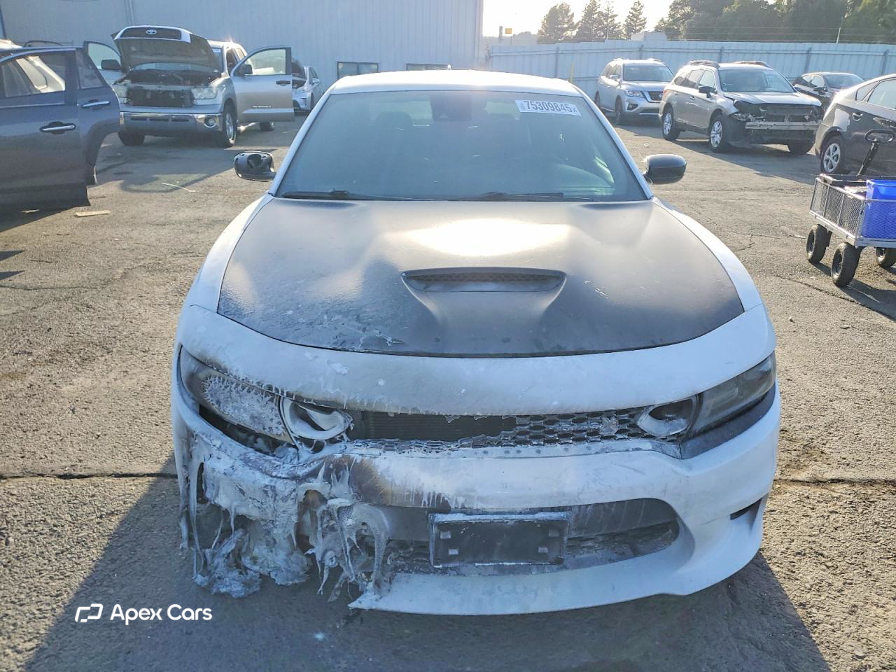 Dodge Charger 2021