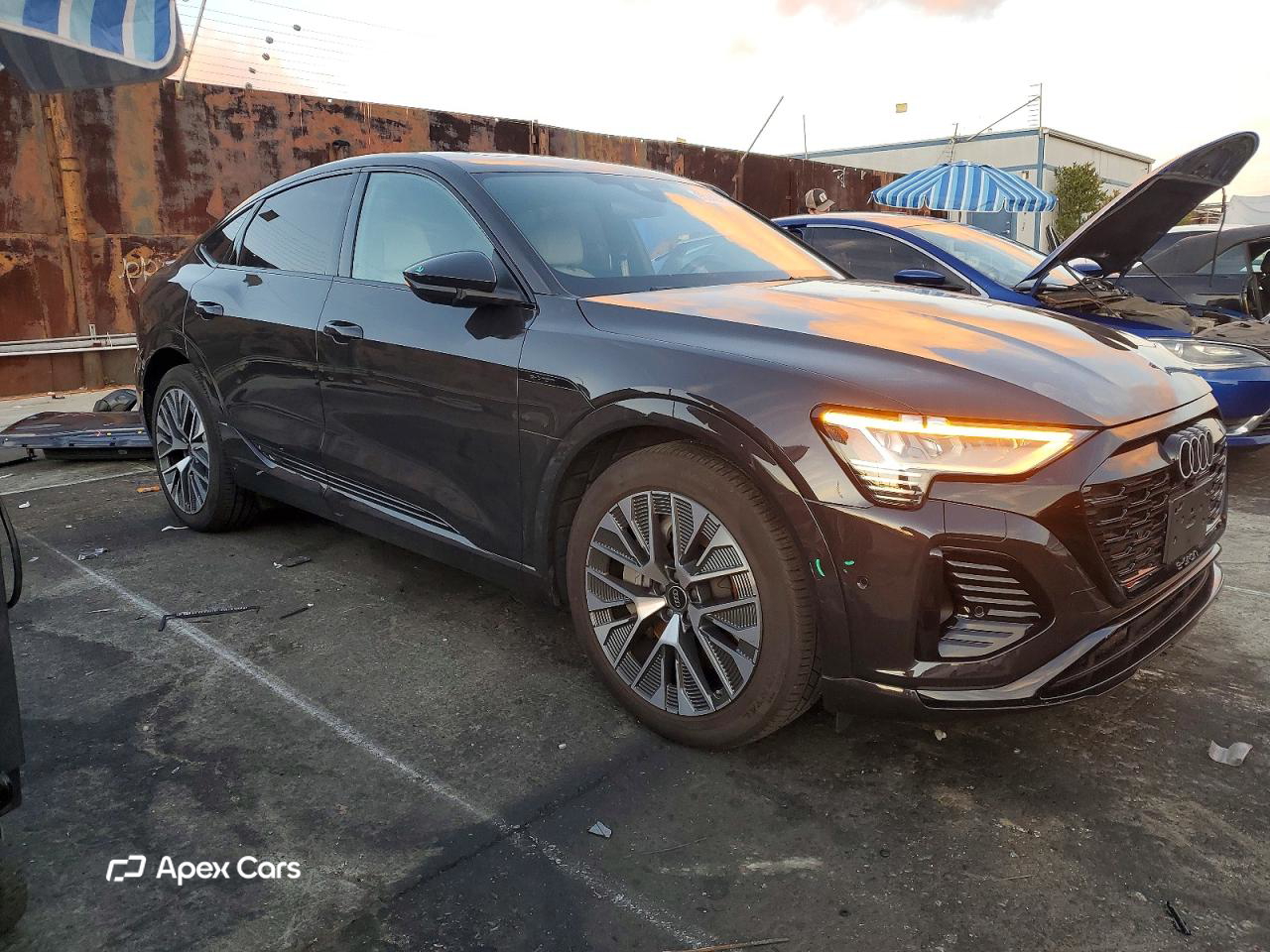 Audi Q8 2024
