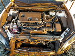 Lexus ES 2024