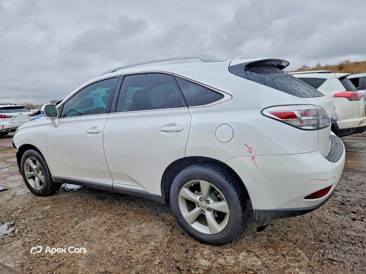 Lexus RX 2011