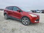 Ford Escape 2014