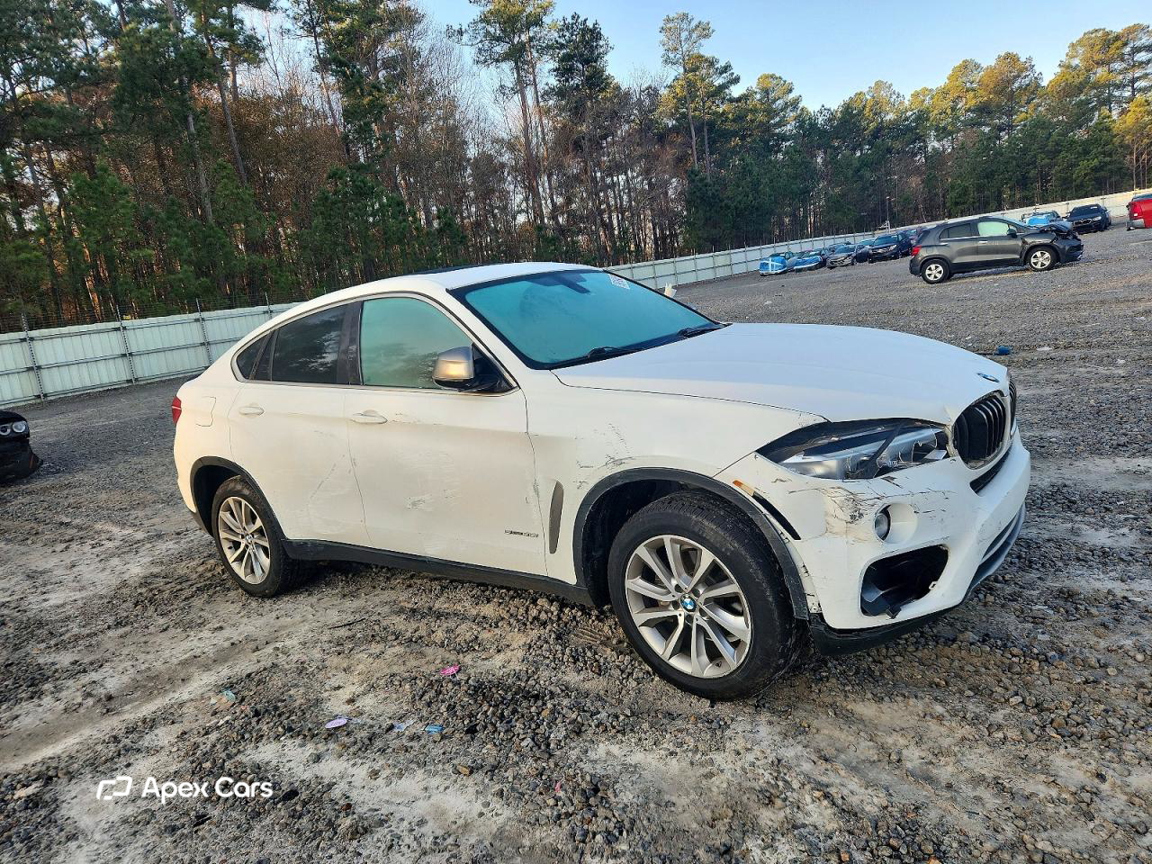BMW X6 2017