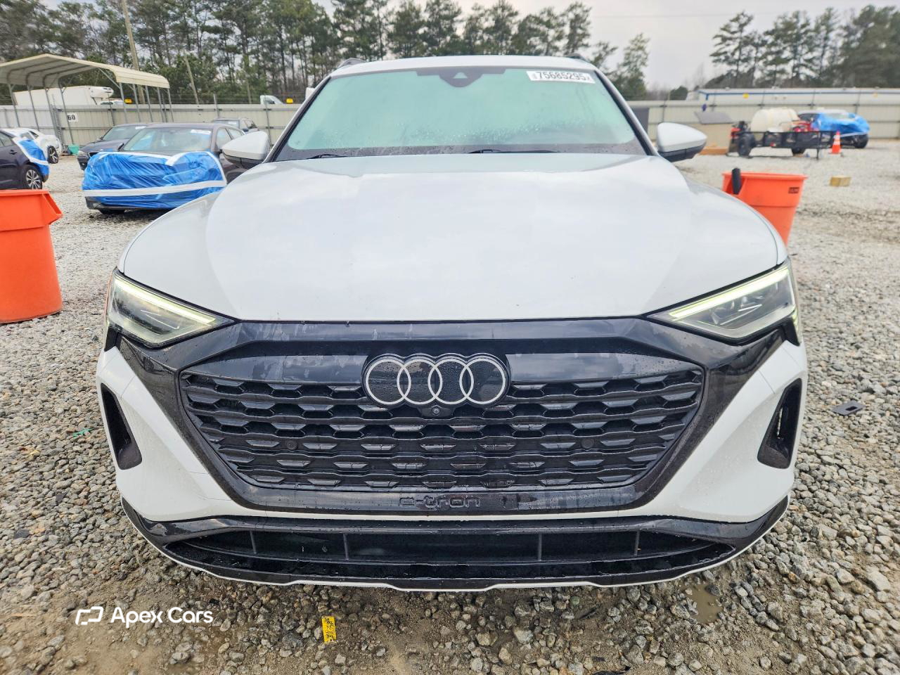 Audi Q8 2024