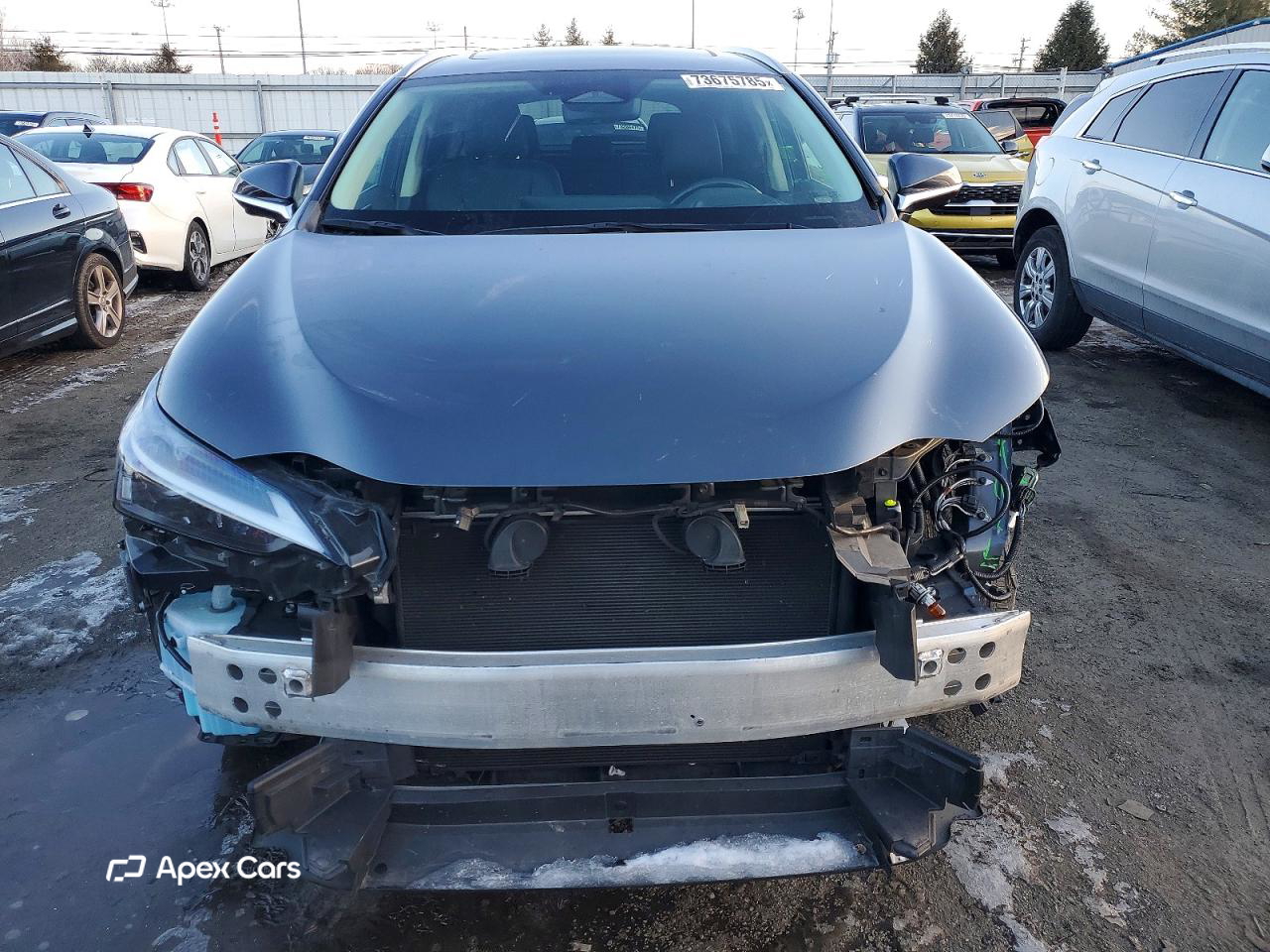 Lexus NX 2024