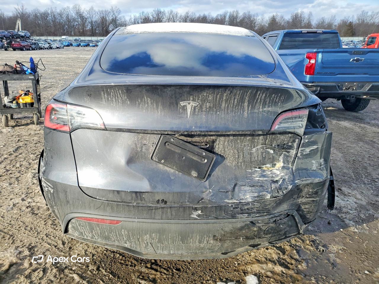 Tesla Model Y 2024