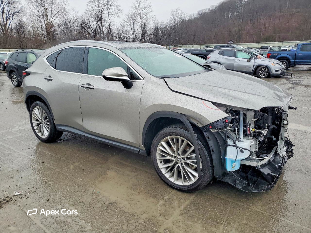 Lexus NX 2025
