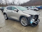 Lexus NX 2025