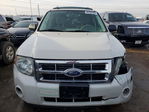 Ford Escape 2011