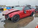 Ford Mustang 2008