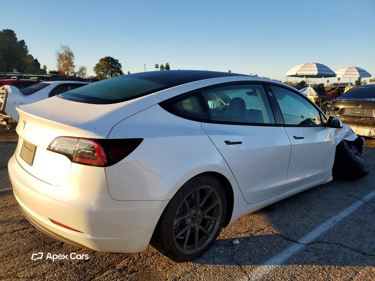 Tesla Model 3 2023