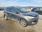 Ford Escape 2013