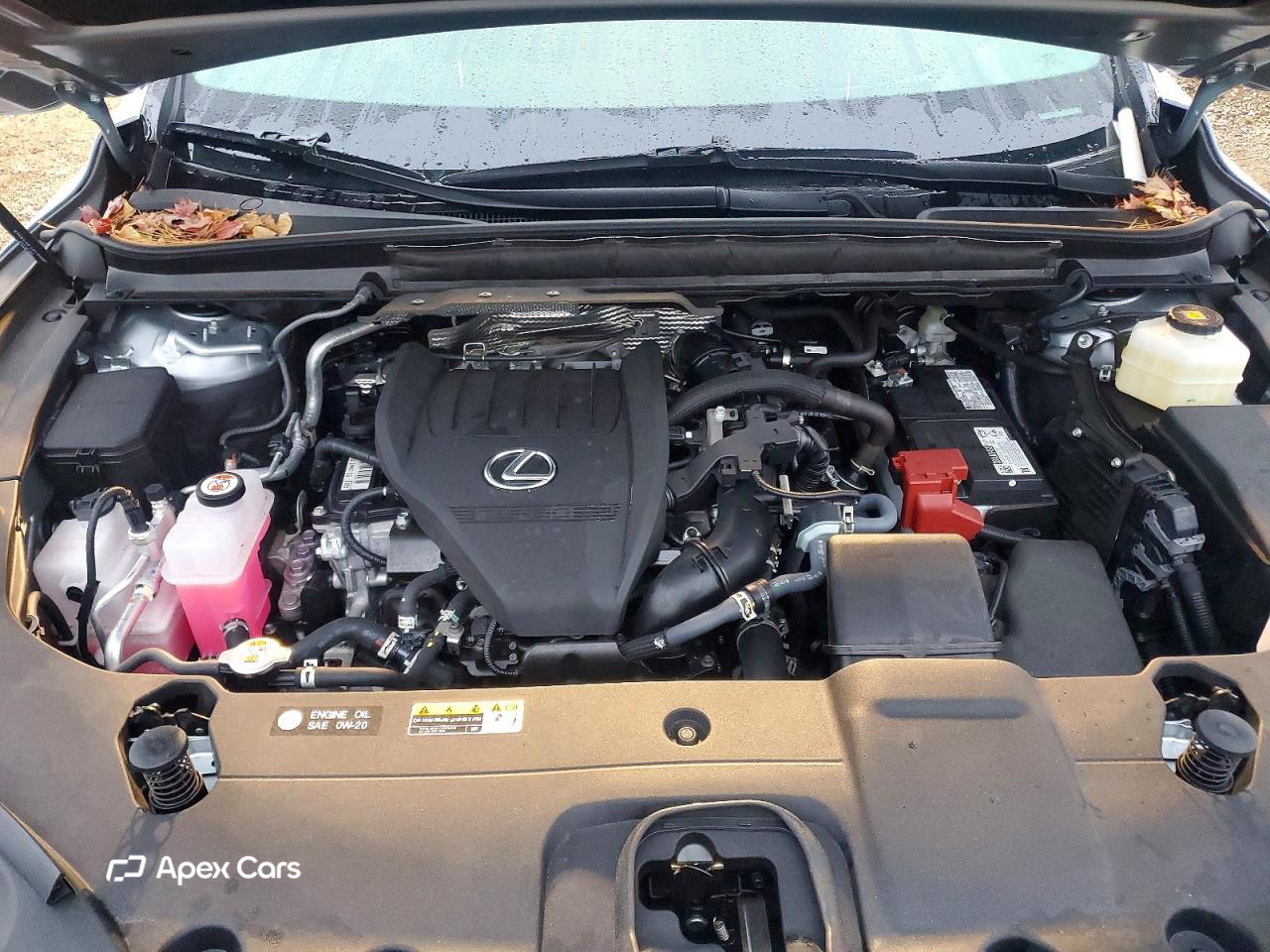Lexus RX 2025