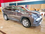 Toyota RAV 4 2024