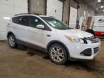 Ford Escape 2013