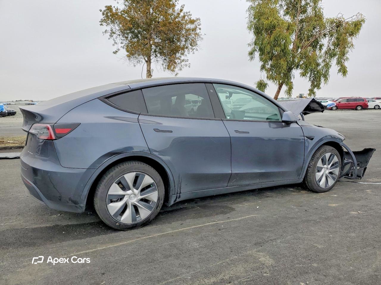 Tesla Model Y 2020