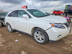 Lexus RX 2010