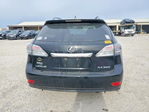 Lexus RX 2010