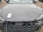 Audi SQ5 2023