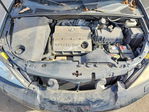 Lexus RX 2005